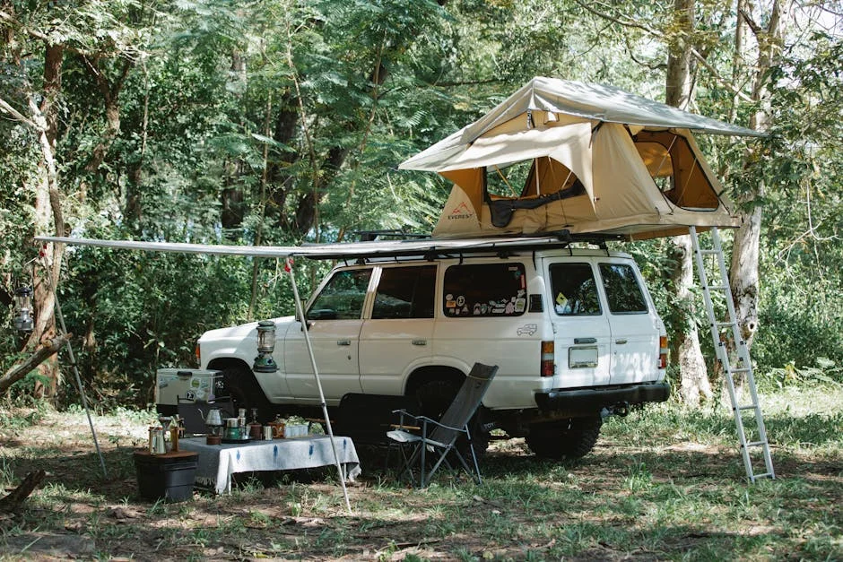 Propane Camp Stove Buyer's Guide: Top Picks Reviewed